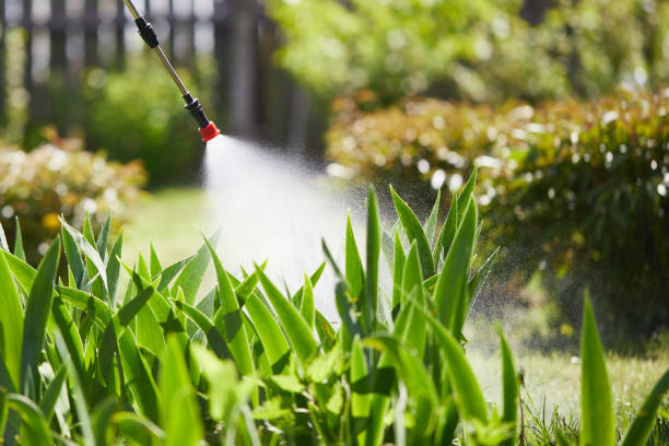 24/7 Emergency Pest Control experts in Conehatta, MS